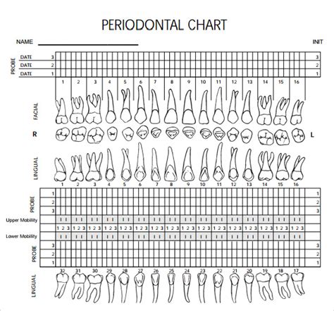 Free Printable Blank Perio Chart